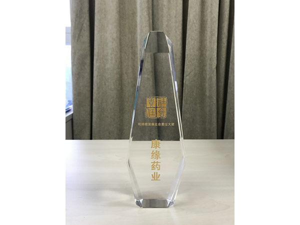 可持续发展社会责任大奖